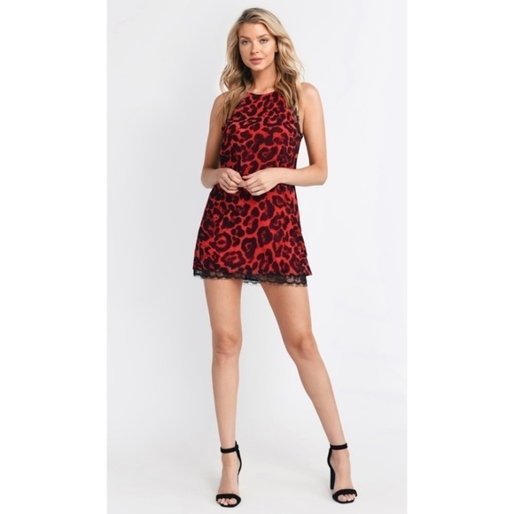 Tobi Cherished Moments Leopard Shift Dress - Picture 4 of 10